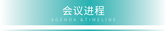会议进程标题